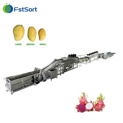 Hot Sale Dragon Fruit Pranje Linija za sortiranje